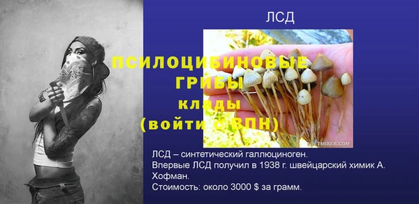 СК Абдулино
