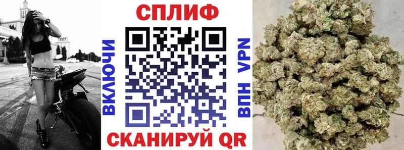 Канабис ГИДРОПОН  Кирсанов 